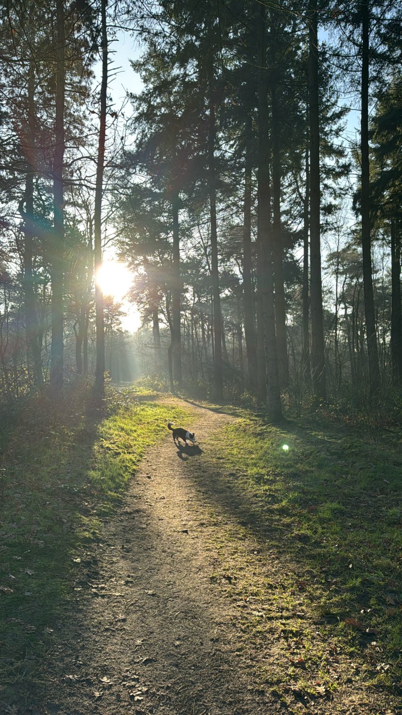 66310b6d-1adb-414a-953a-ac8c3ac2955f