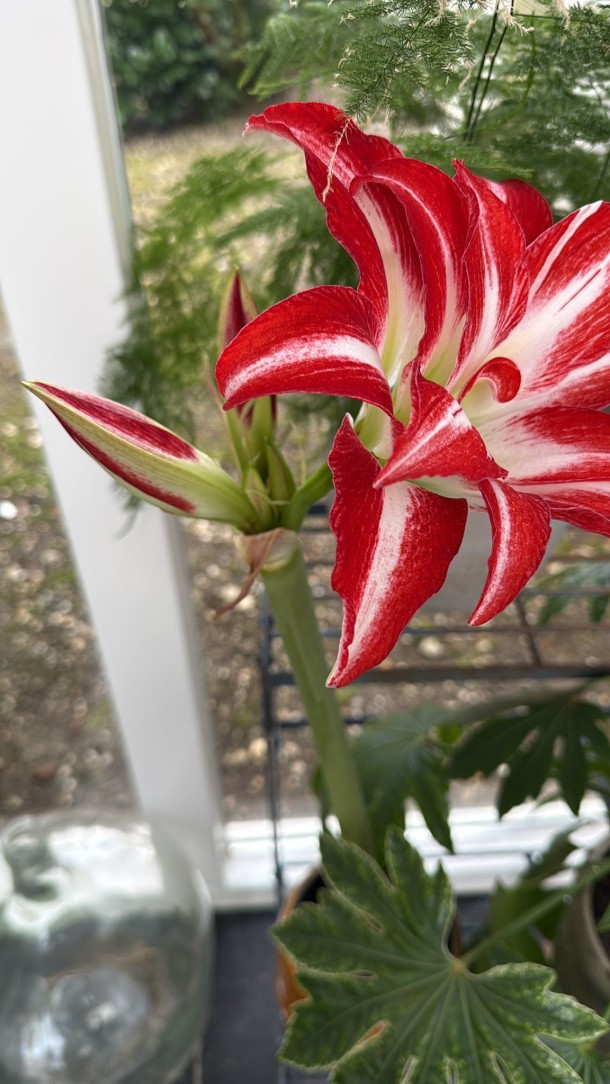 whatsapp-image-2026-04-07-at-084319-2