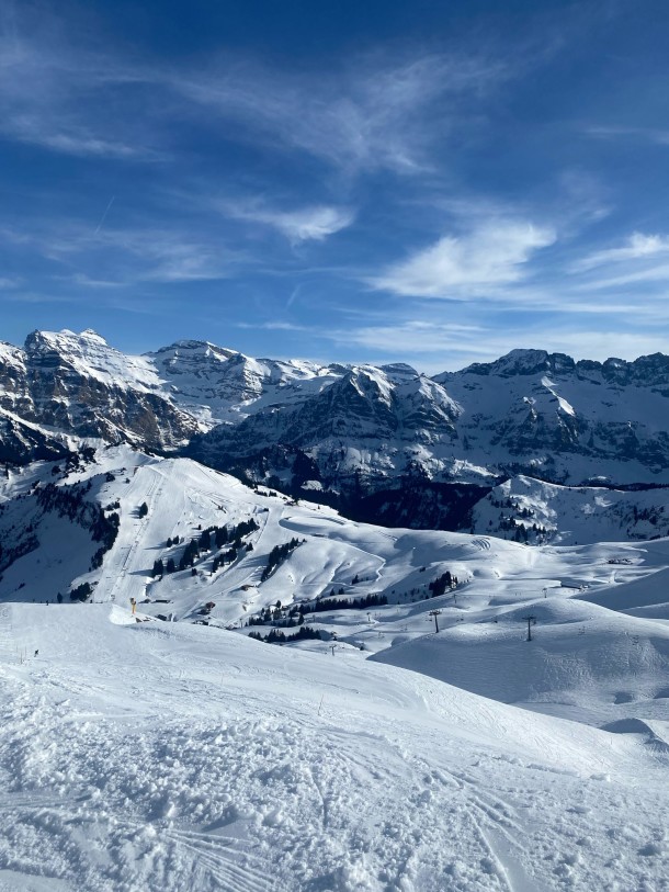 5dec96b9-2663-4e9a-bb95-9d265eacda32