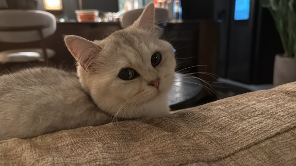 whatsapp-image-2026-04-07-at-084318