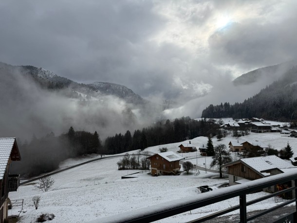 whatsapp-image-2026-02-17-at-113249-1